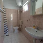 Apartman Brzica