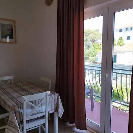 Apartment Brzica *
