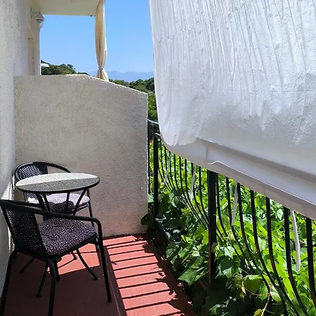 Brzica * Саплунара