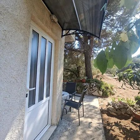 Apartament Brzica